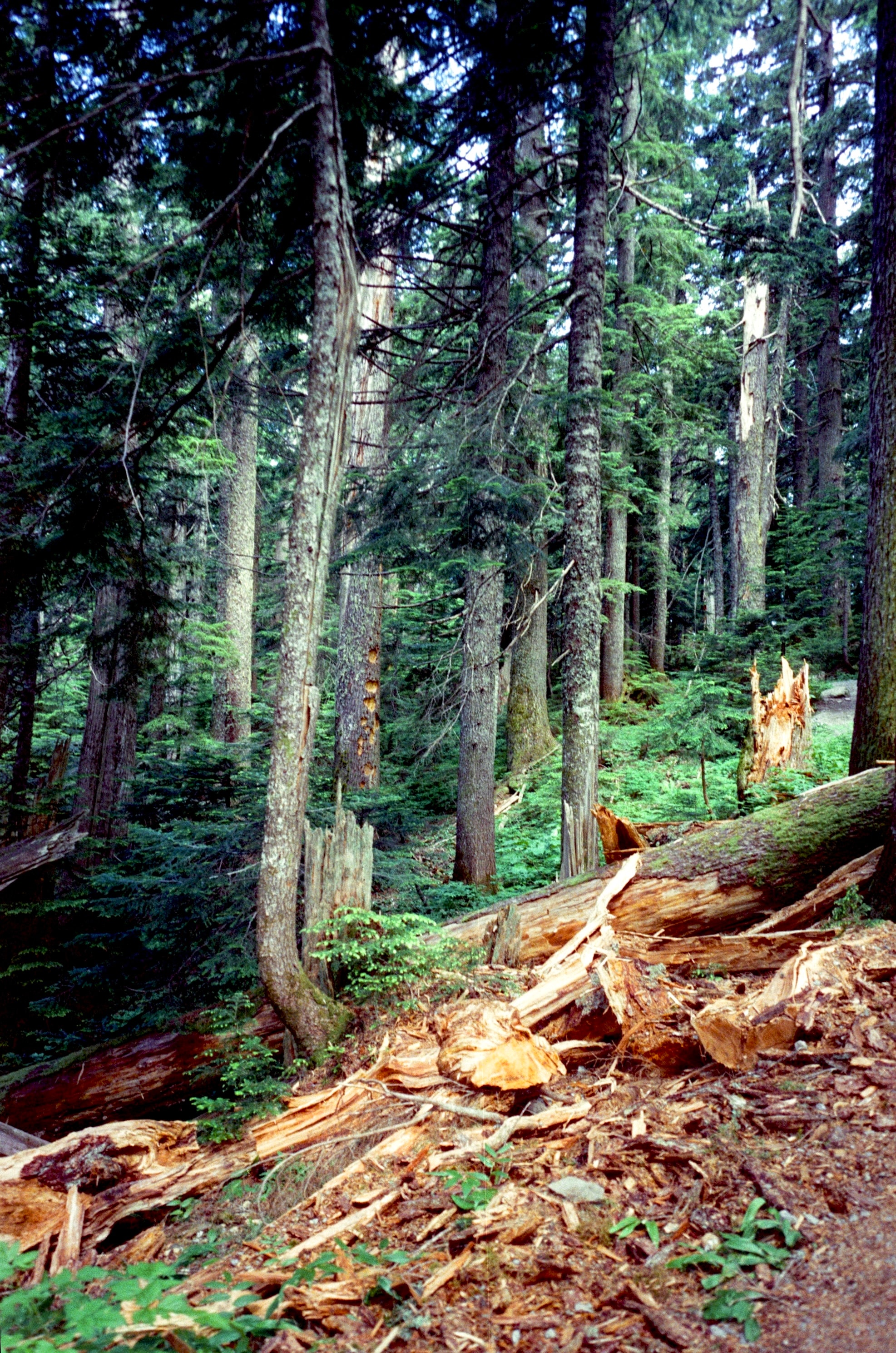 Photo 20